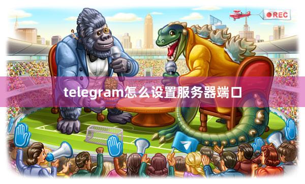 telegram怎么设置服务器端口