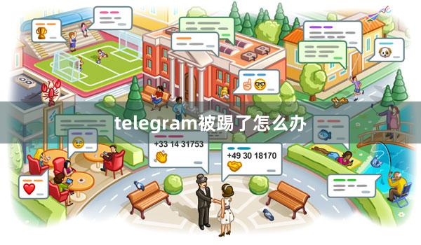telegram被踢了怎么办